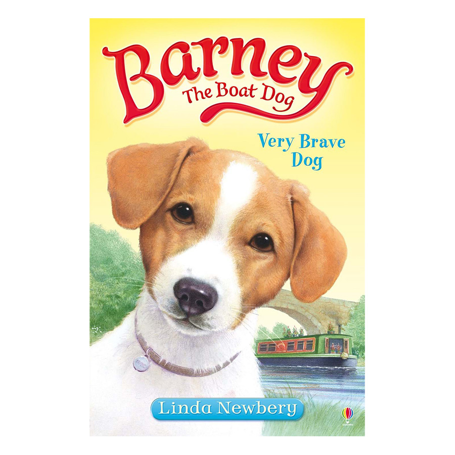 [Hàng thanh lý miễn đổi trả] Usborne Young Fiction Barney the Boat Dog: Very Brave Dog