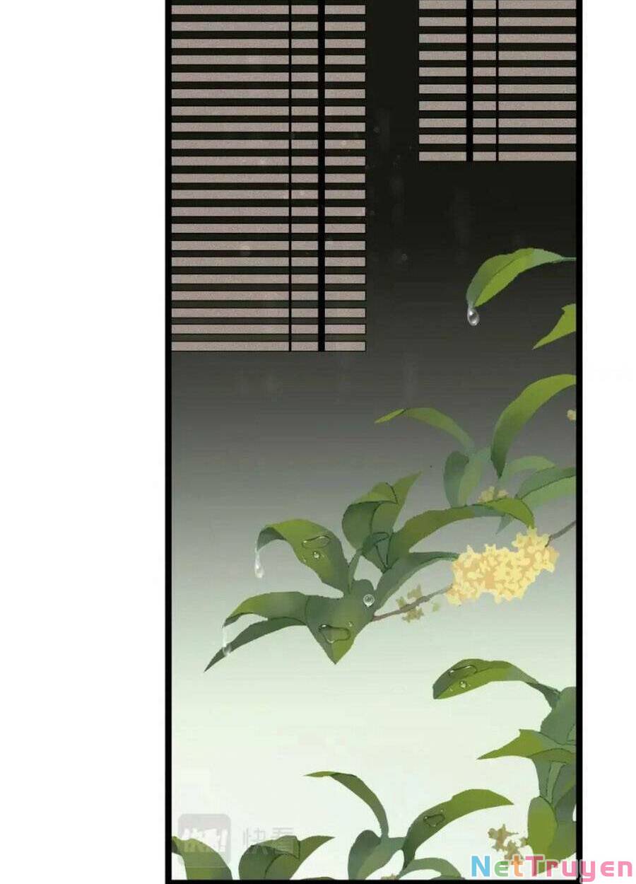 điều hương vương phi chapter 36 50