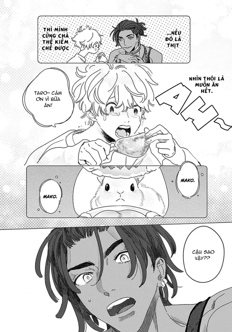 đất nước của những chú sư tử chapter 2 4