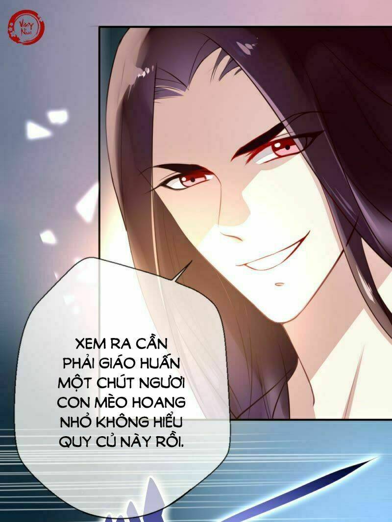 huyết tộc đại nhân của ta chapter 1 31