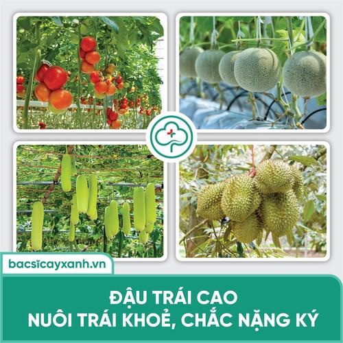 Phân bón lá Humic Amino bổ sung vi lượng giúp cây khoẻ, xanh lá, mập chồi, nhú đọt BS14 250ml NSX Bacsicayxanh