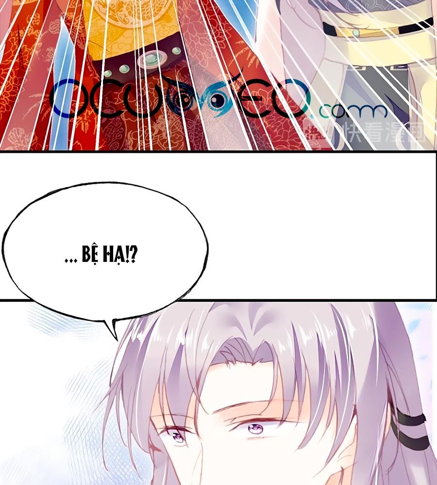 trẫm cũng không muốn quá khí phách chapter 50 43