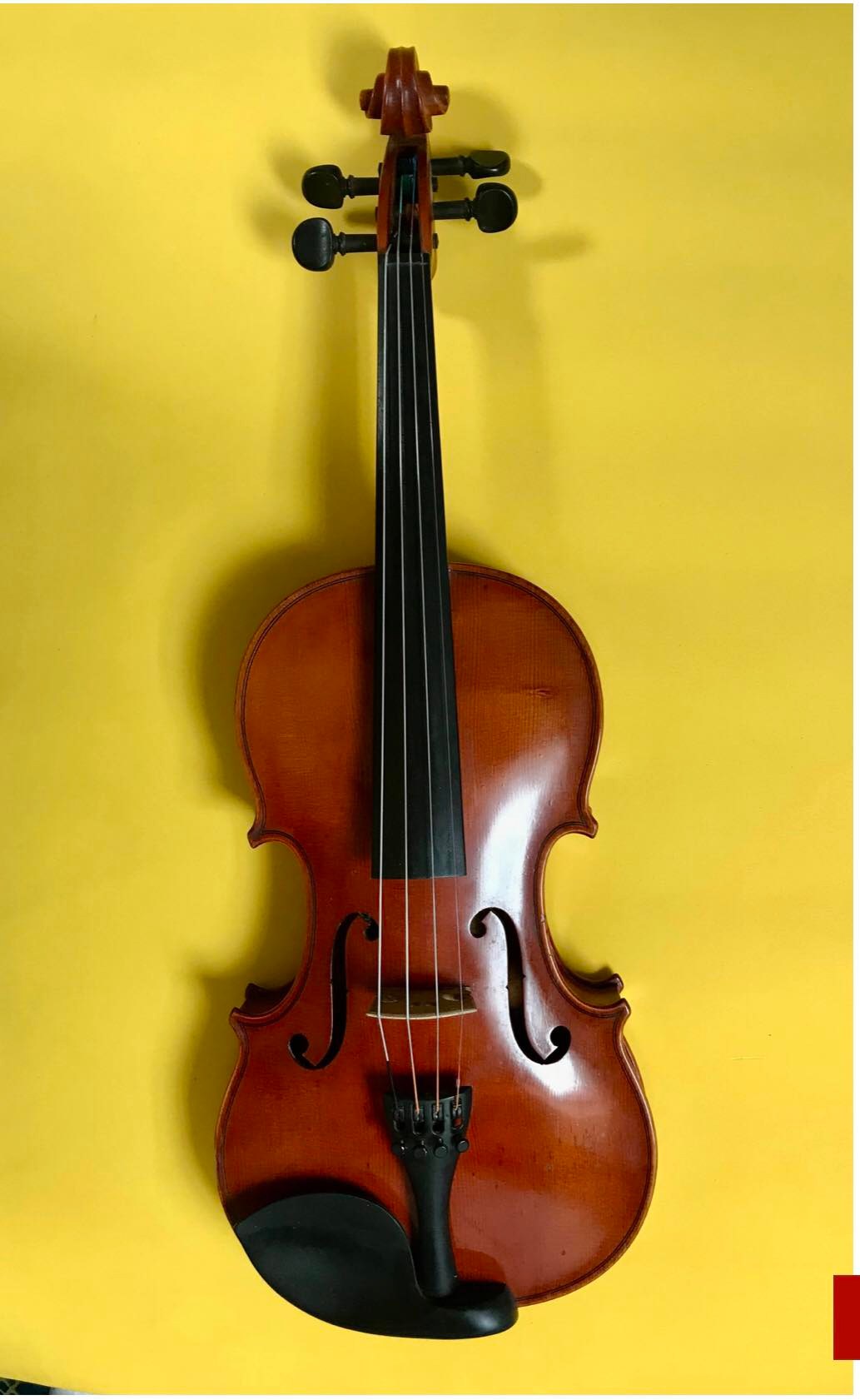 Đàn Violin Châu Âu , size 4/4 -KARL HOFNER