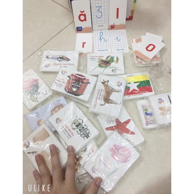 Bộ thẻ học 16 chủ đề song ngữ Anh Việt cho bé phát triển - Bản mới nhất