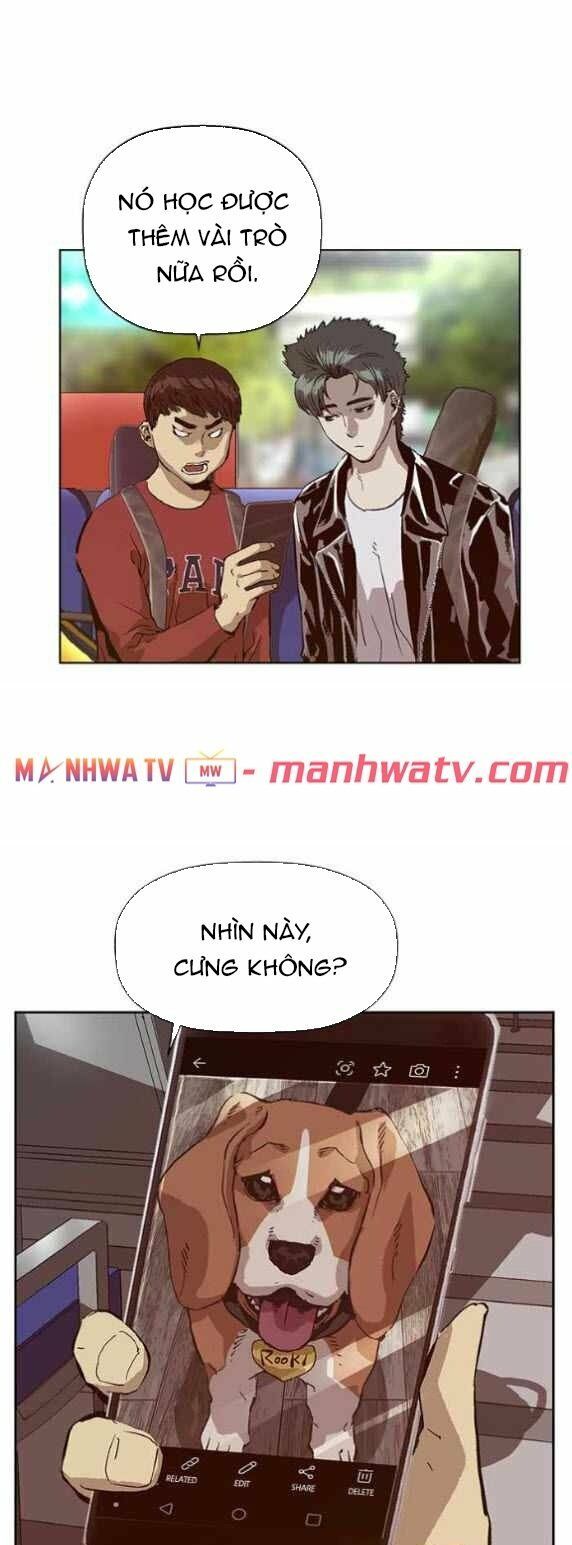 anh hùng yếu chapter 137 34