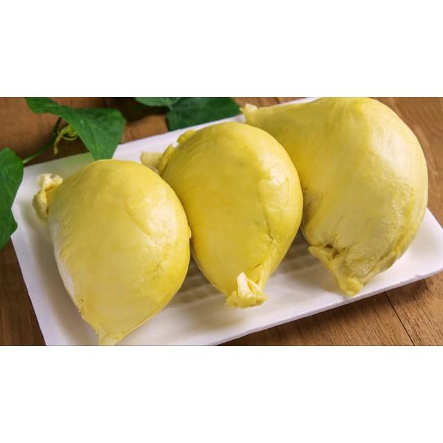 Cây giống Sầu Riêng Thái Lan (Dona] .