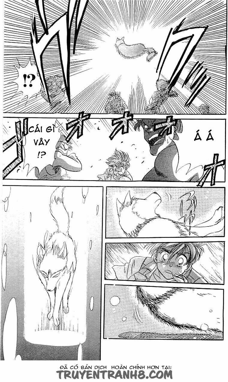 wild half chapter 6.5 33