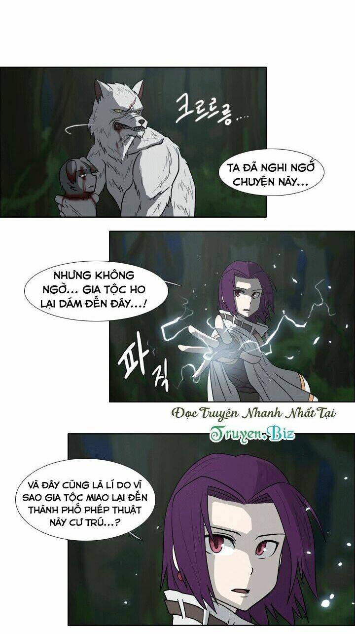 m. m. g. chapter 11 13