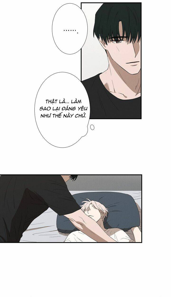 trốn tìm chapter 27 14