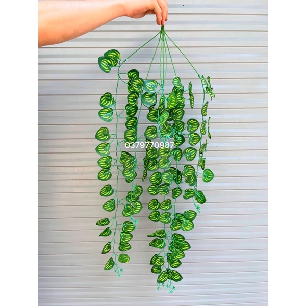 Chùm Cây Dây Leo Trang Trí Dưa Hấu PVC 5.0