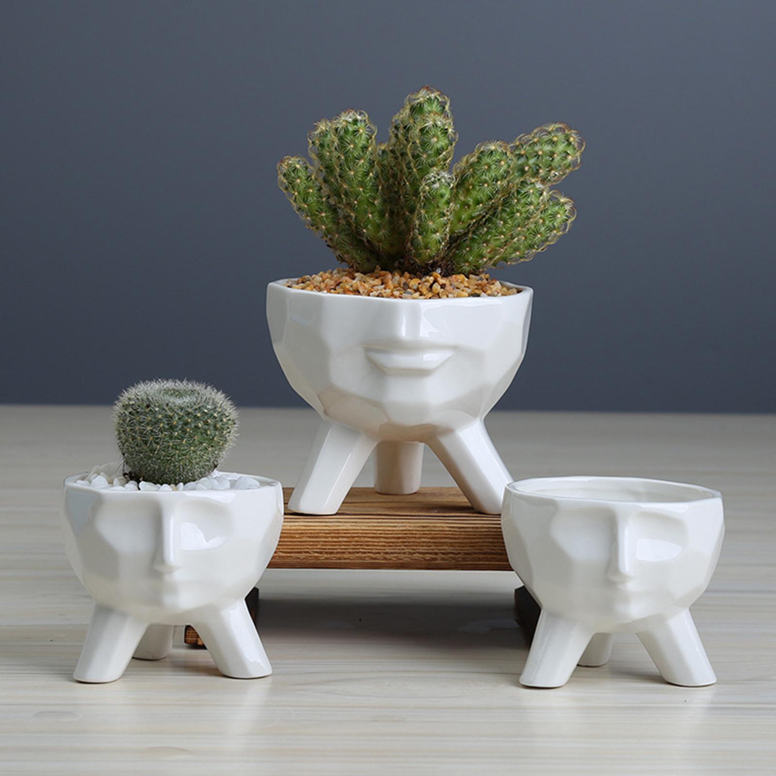 Head Design Succulents Plant Pot /Cactus Planter Indoor Outdoor Ceramic Planter, Cute Plants Flowerpot