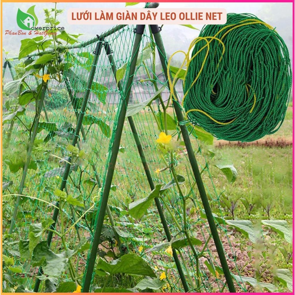 Lưới Làm Giàn Dây Leo Lưới Làm Giàn Dưa Leo, Hoa, Đậu Leo, Giàn Cây Bền Chắc - Shop Phân Bón và Hạt Giống