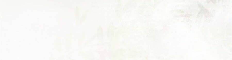 thần y khí nữ: ngự thú cuồng phi của quỷ đế chapter 99 20