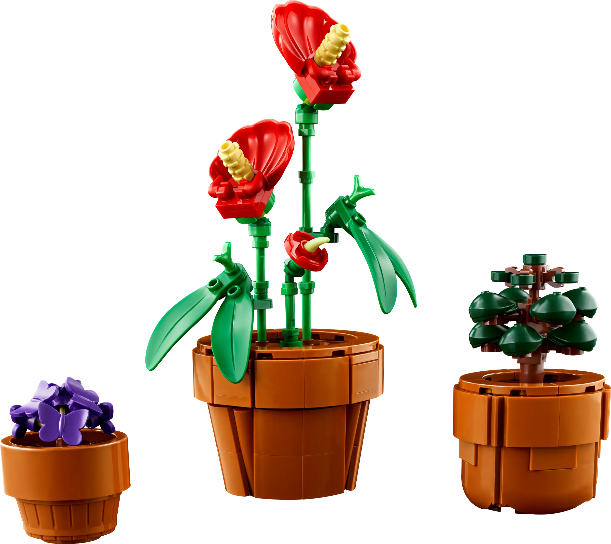 Đồ Chơi Lắp Ráp Bộ Sưu Tập Hoa Xương Rồng - Miniplantjes - Lego Adults 10329 (758 Mảnh Ghép)