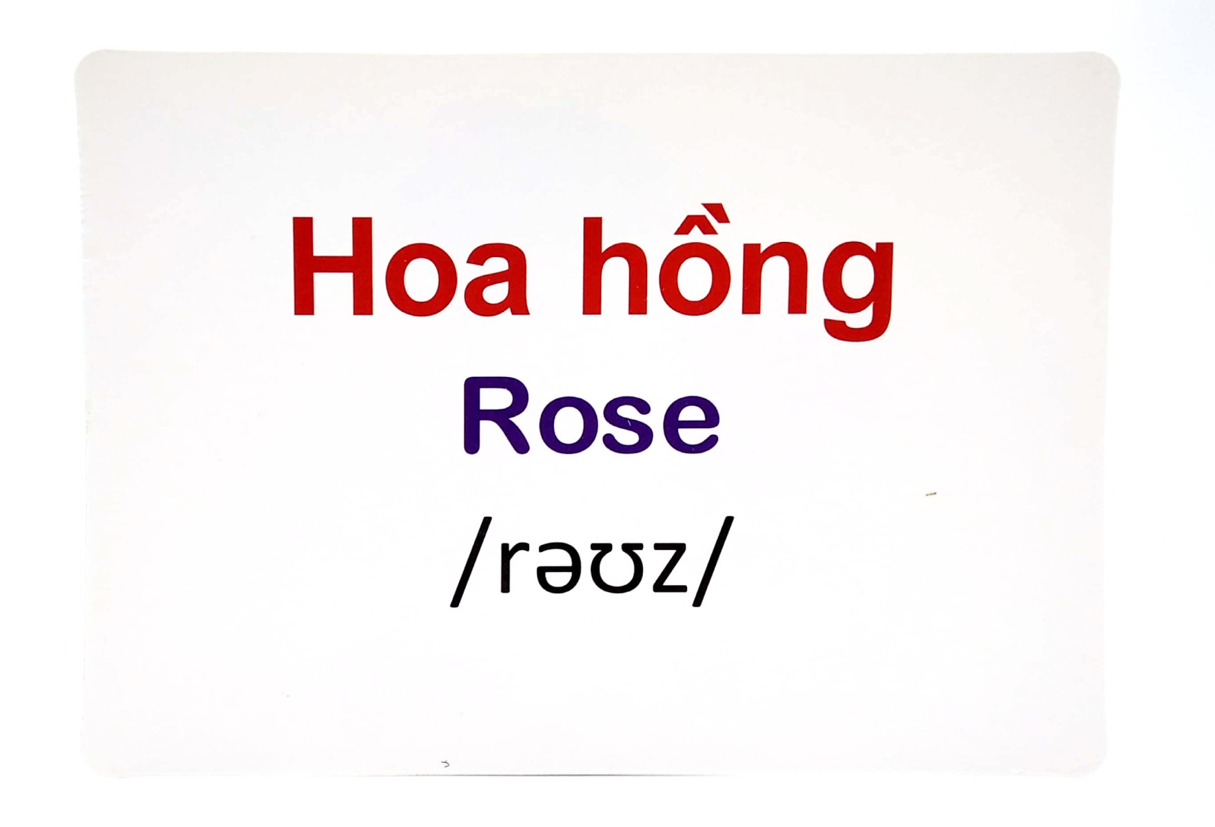 Flashcard Thế Giới Quanh Em: Các Loài Hoa - Flowers