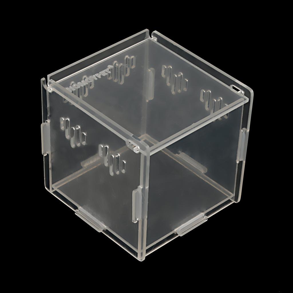 Acrylic Box Crawler Spider Scorpion Centipede Insect Feeding Insect Box - XS