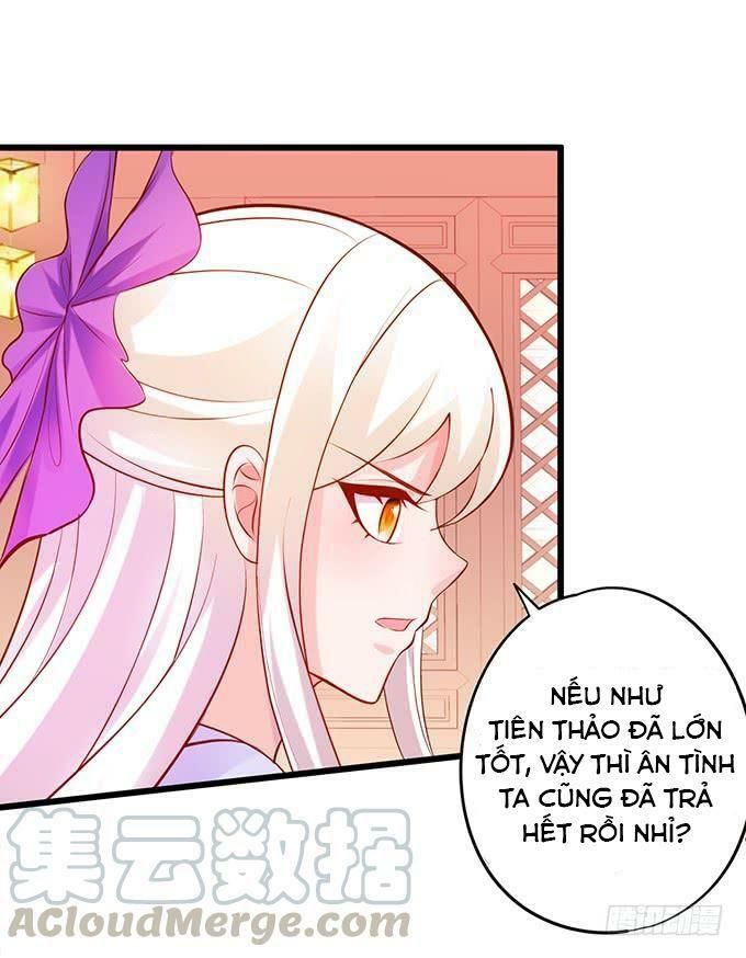 hồ tiên hung bạo chapter 137 28