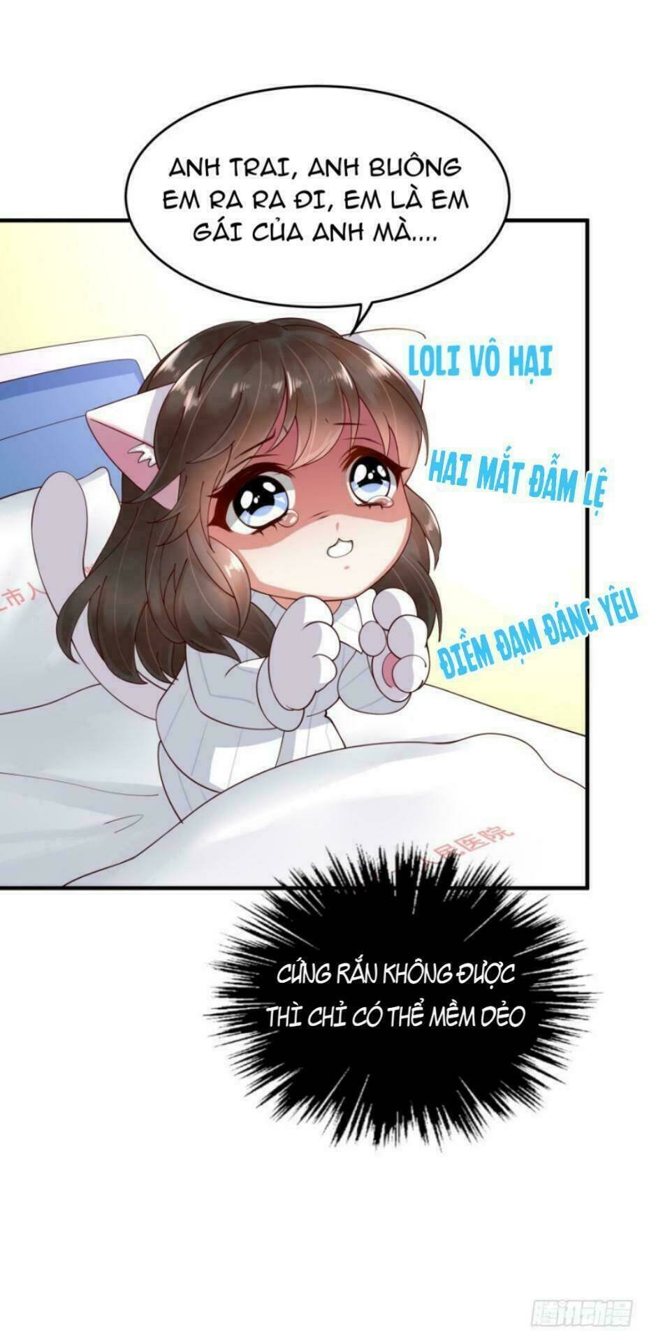 mộ thiếu, lão bà ngươi trọng sinh lại rồi! chapter 24 15