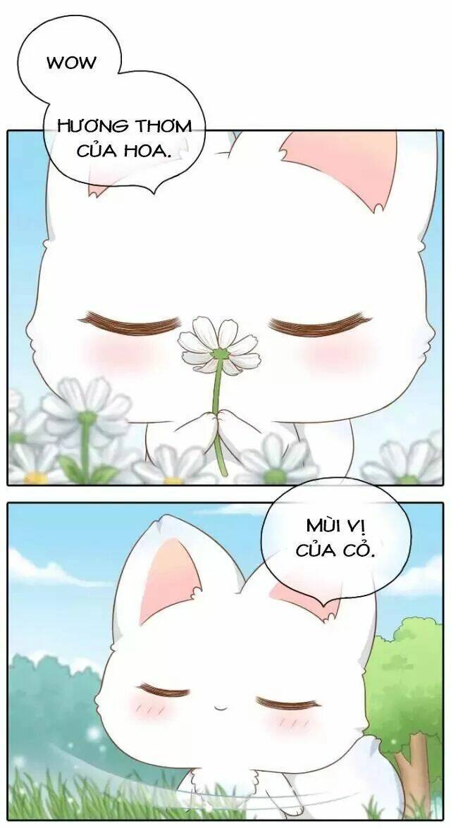 tiểu hồ ly vs tiểu hóa thượng chapter 42 19