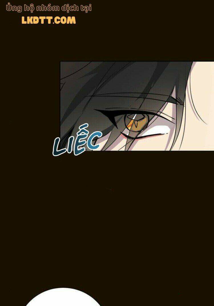 ta đã từng mong nàng biến mất chapter 16 31