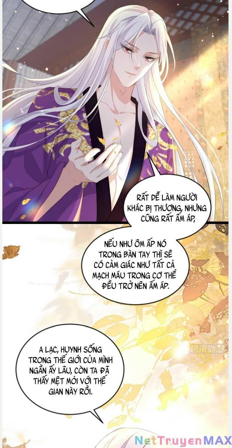 hoạn phi thiên hạ chapter 358 8