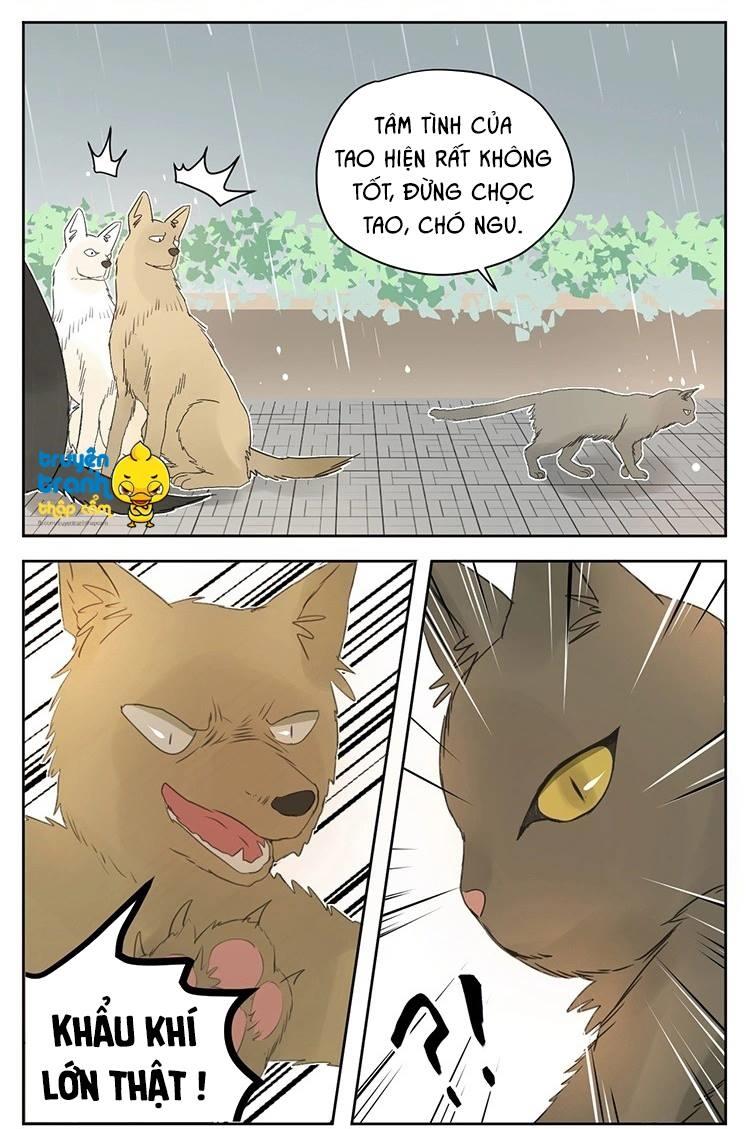 cứu mạng ! loài mèo thống trị thế giới rồi ! chapter 25 14