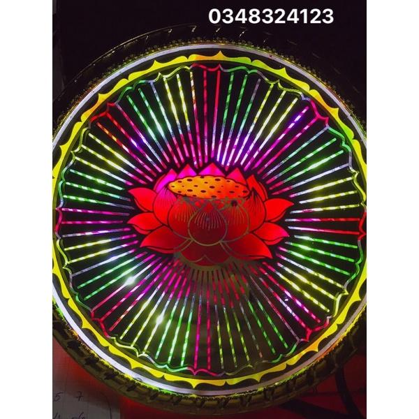 Hào quang cơ sen hot trend