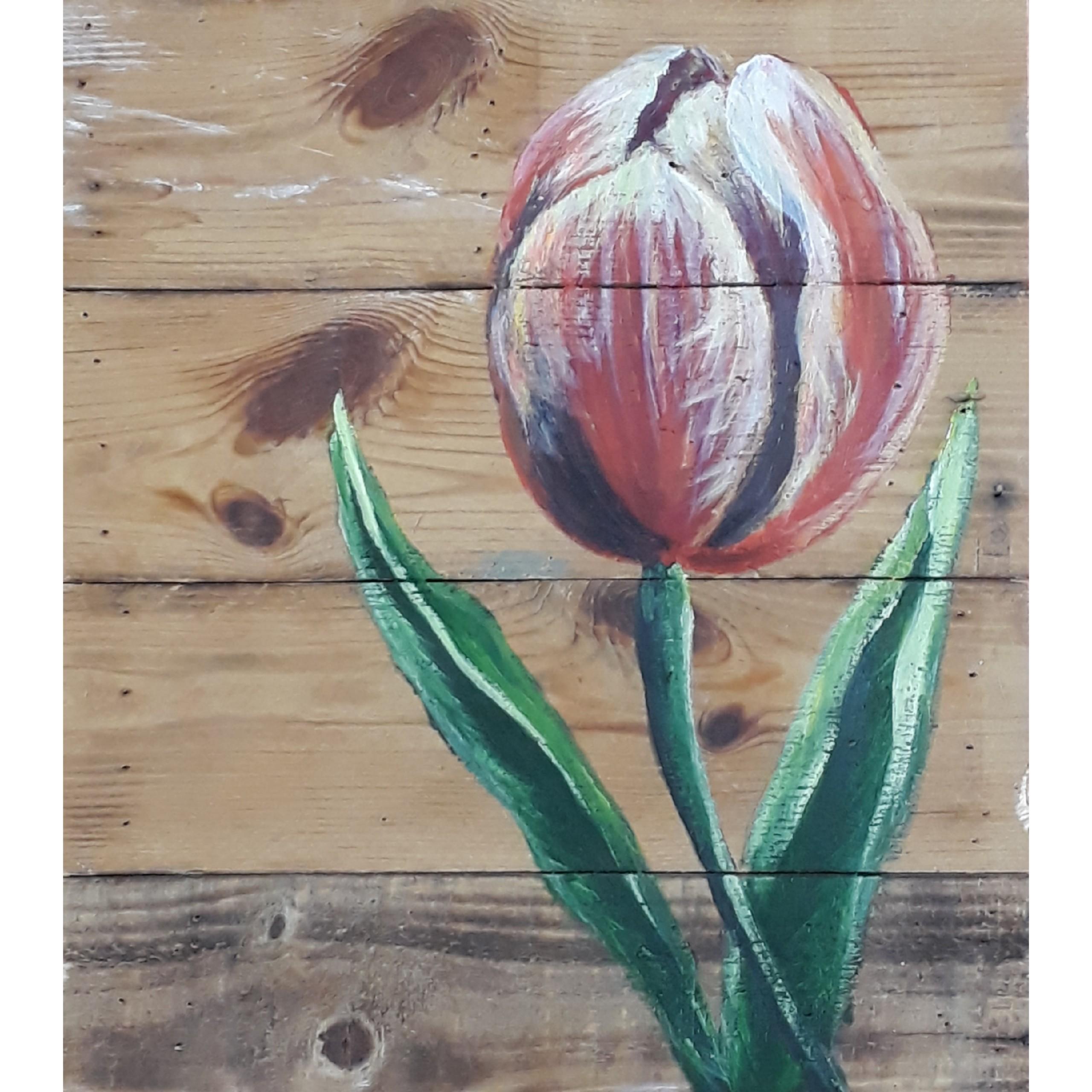 Tranh sơn dầu sáng tác vẽ tay: Tulip