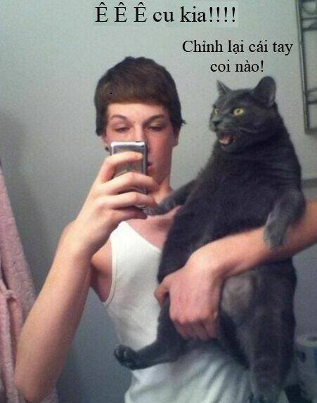 rage comic-troll chapter 78 12