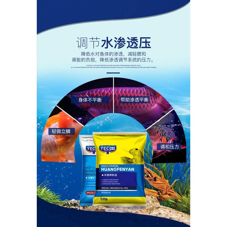 Muối khoáng nén màu xanh - Phòng và ch.ữa nấm cá - phụ kiện cá cảnh - shopleo
