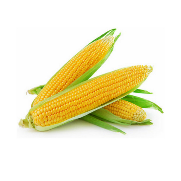 - Bắp Mỹ Hữu Cơ Organicfood - 1kg
