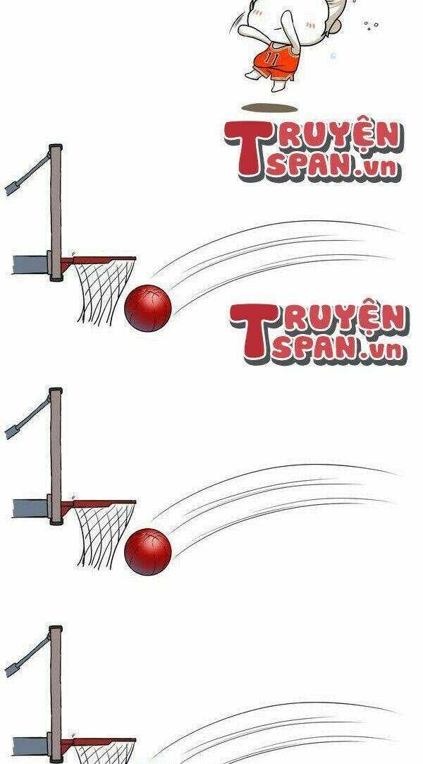 gấu ngốc và những người bạn chapter 9 6