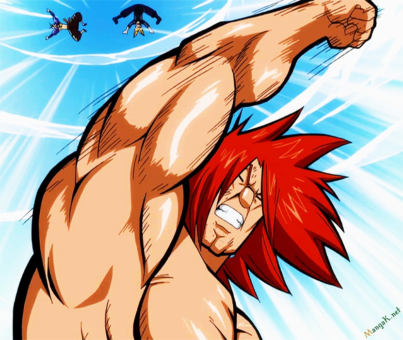 fairy tail chapter 437.5 43