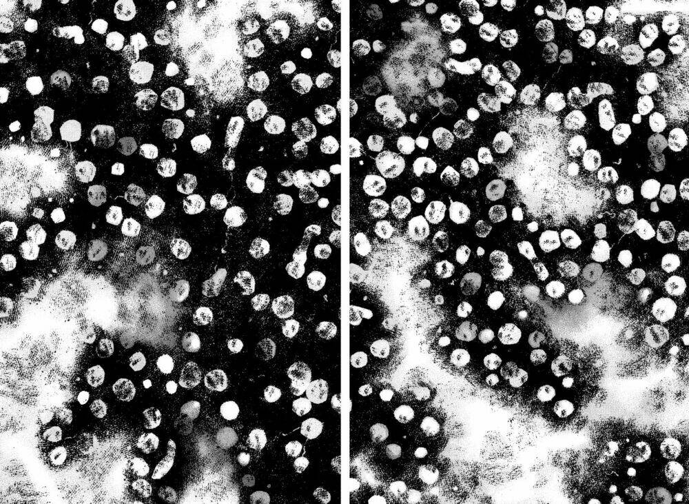 emerging chapter 5 22