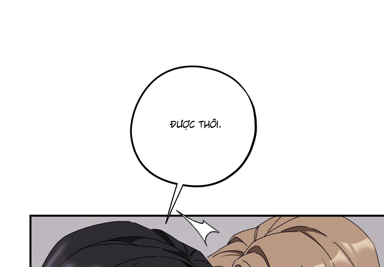 chàng dâu nhà họ kang chapter 34 155