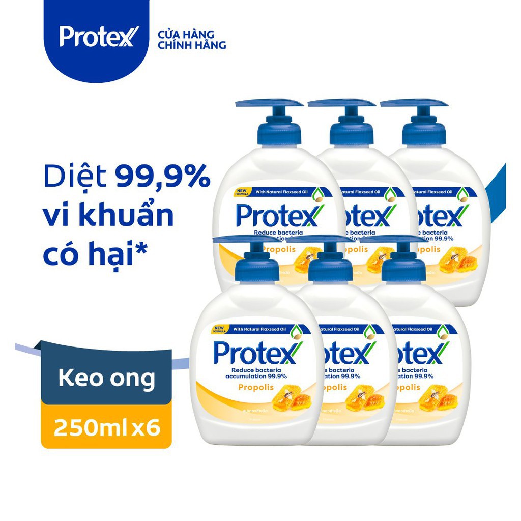 Bộ 6 Nước rửa tay diệt khuẩn Protex Propolis keo ong 250ml/chai