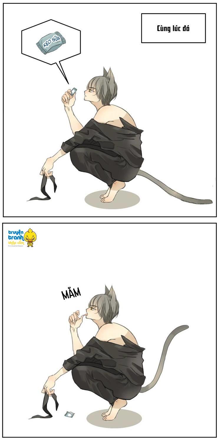 cứu mạng ! loài mèo thống trị thế giới rồi ! chapter 2 27