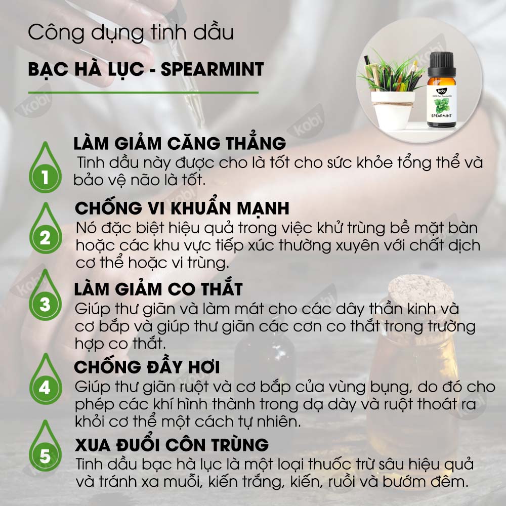 Tinh dầu Bạc Hà Lục Kobi Spearmint essential oil giúp kháng khuẩn, giảm căng thẳng hiệu quả