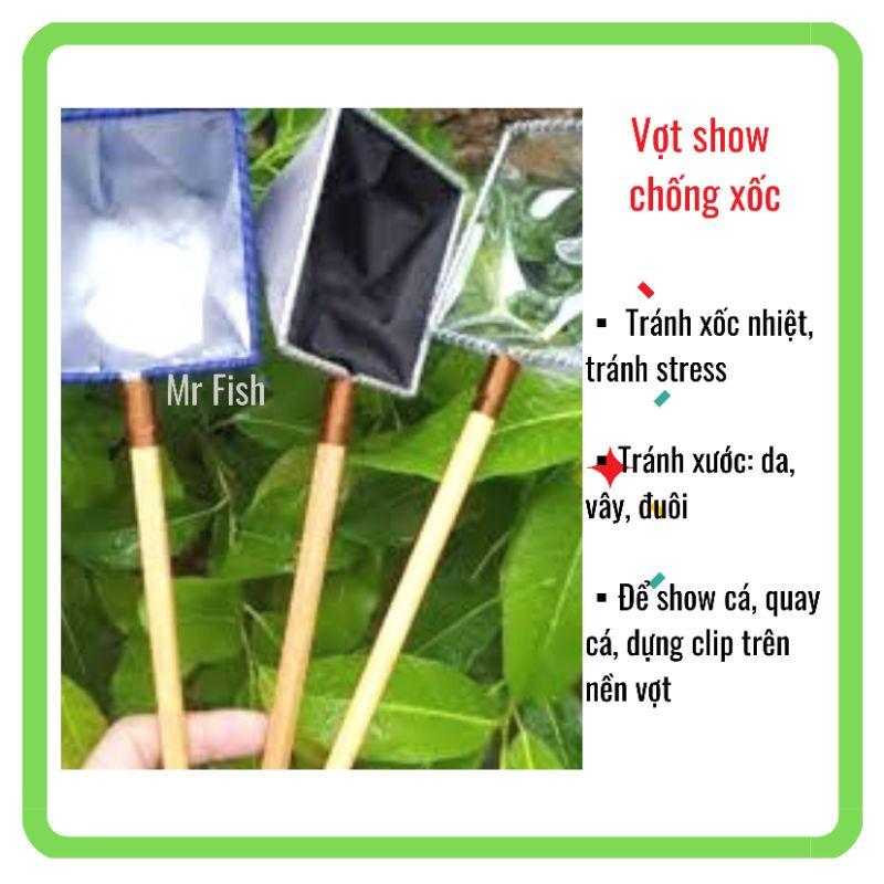 Vợt show cá chống sốc- Vợt show cá cảnh, betta, guppy-Vợt giữ nước -Vợt vớt cá- Mr Fish
