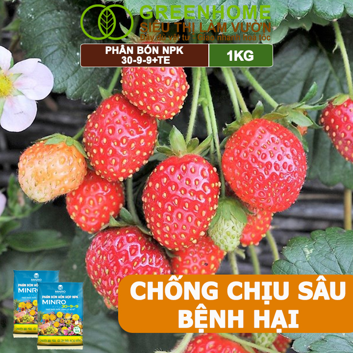 Phân NPK 30-9-9 +TE Greenhome, Minro, Bao 1Kg, Phát Triển Nhanh Thân, Cành, Lá, Bộ Rễ