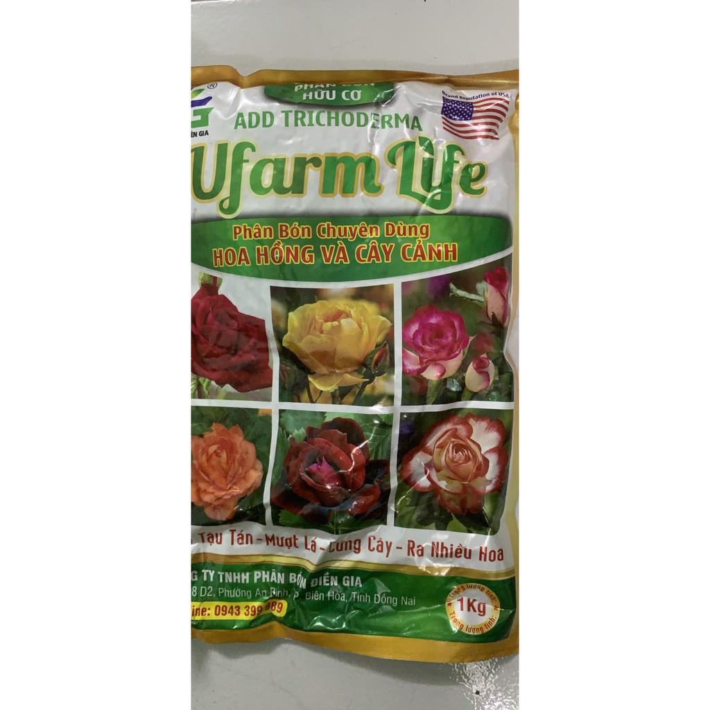 Phân bón chuyên hoa hồng và cây cảnh ĐG gói 01 kg