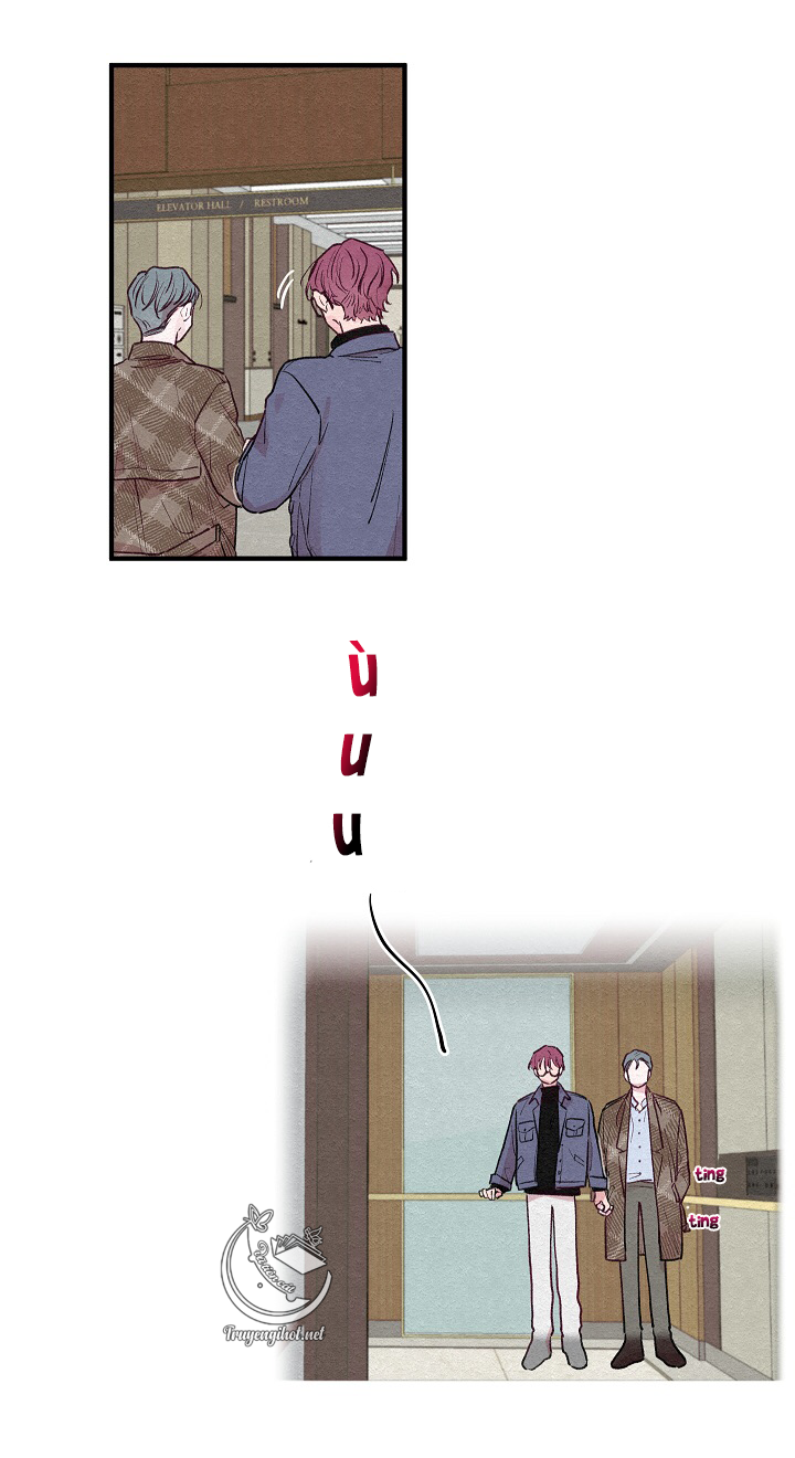 [bl19+] hoa không nở chapter 4 15