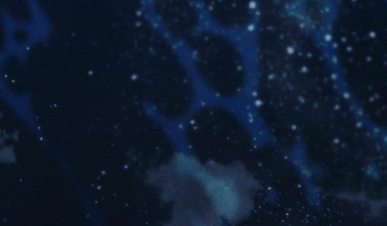 chàng giao pizza và gold palace chapter 31 209