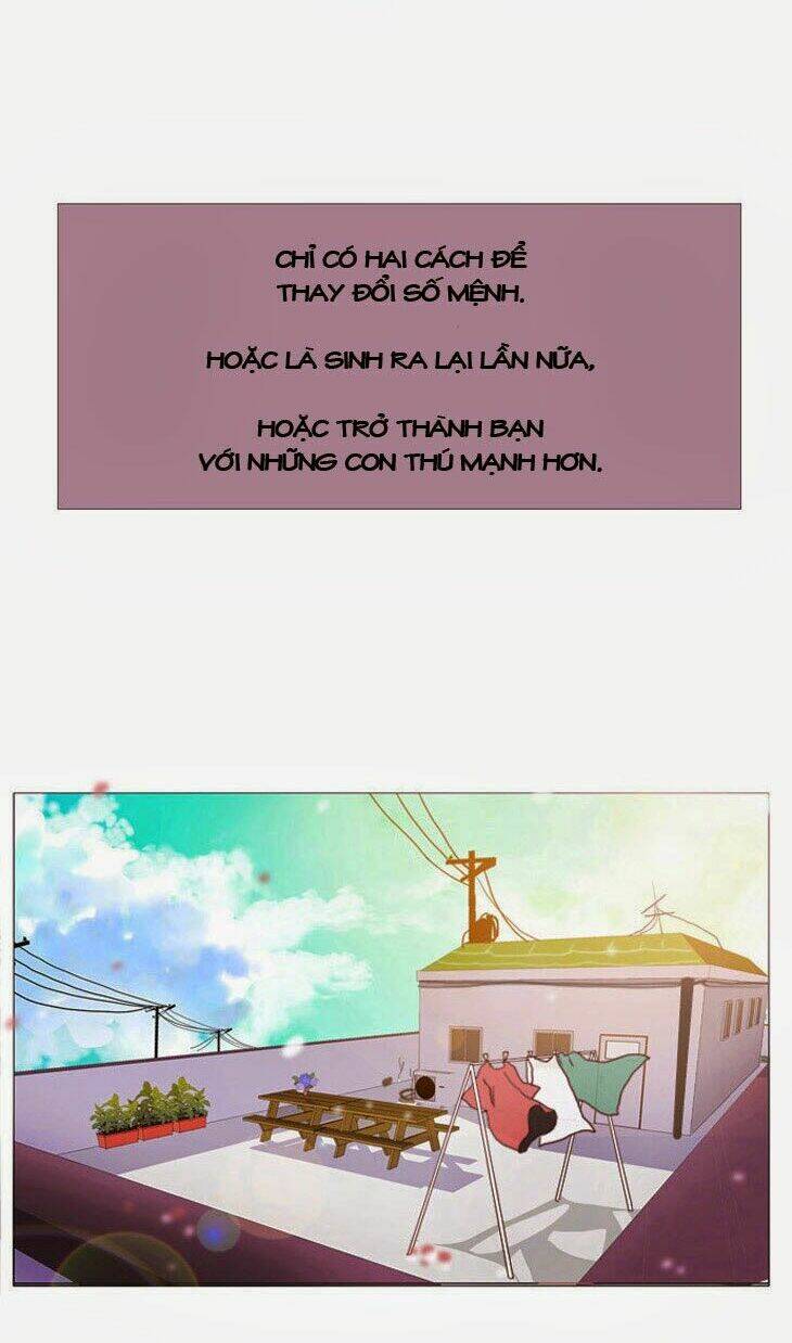 món quà từ chúa chapter 2 33