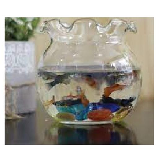 Chậu thủy tinh miệng bèo mini 11*10 CM - Chậu Thuỷ Tinh Nuôi Cá, Trồng Cây Mini