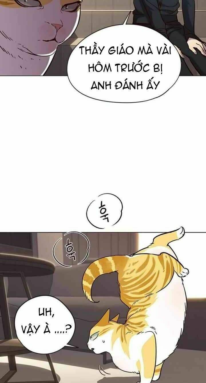 biến thân thành mèo chapter 94 17