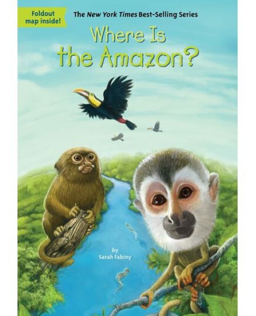Where Is the Amazon?