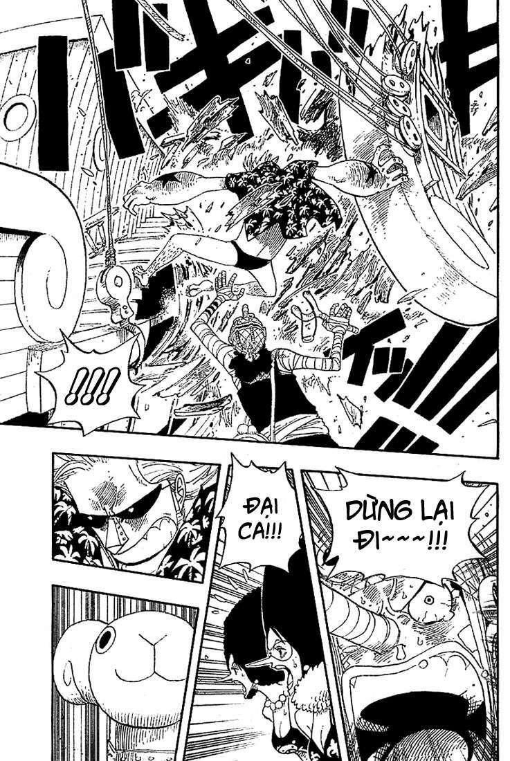 đảo hải tặc - one piece chapter 351 5