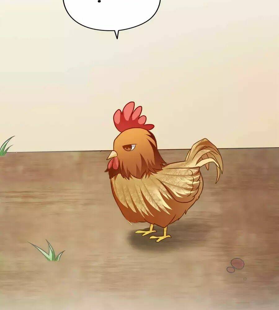 hoàng tử phu quân, ta nuôi ngươi a! chapter 2 99