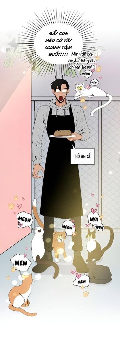 bona sort chapter 22 32